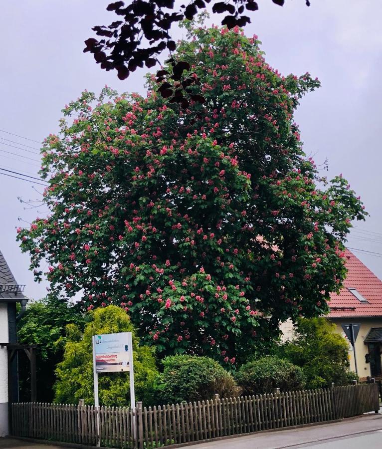 Gemuetliche Fewo Naehe Hachenburg, Bad Marienberg Apartamento Langenbach bei Kirburg Exterior foto